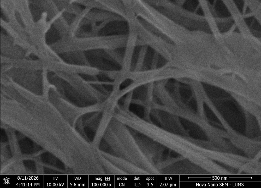 SEM micrograph of a near-clean control filter showing only fibre mesh
